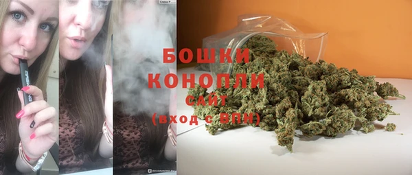 mdpv Новозыбков